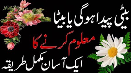 Beti Ho Gi Ya Beta Pata Lagane Ka Tariqa in Urdu بیٹی ہو گی یا بیٹا معلوم کریں