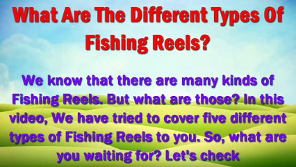 Different Types Of Fishing Reels