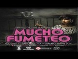 PREVIEW ALGENIS FT RANDY GLOCK Y WAMBO MAFIA BOY (MUCHO FUMETEO) ROTTWEILAS Y MILLONES RECORDS