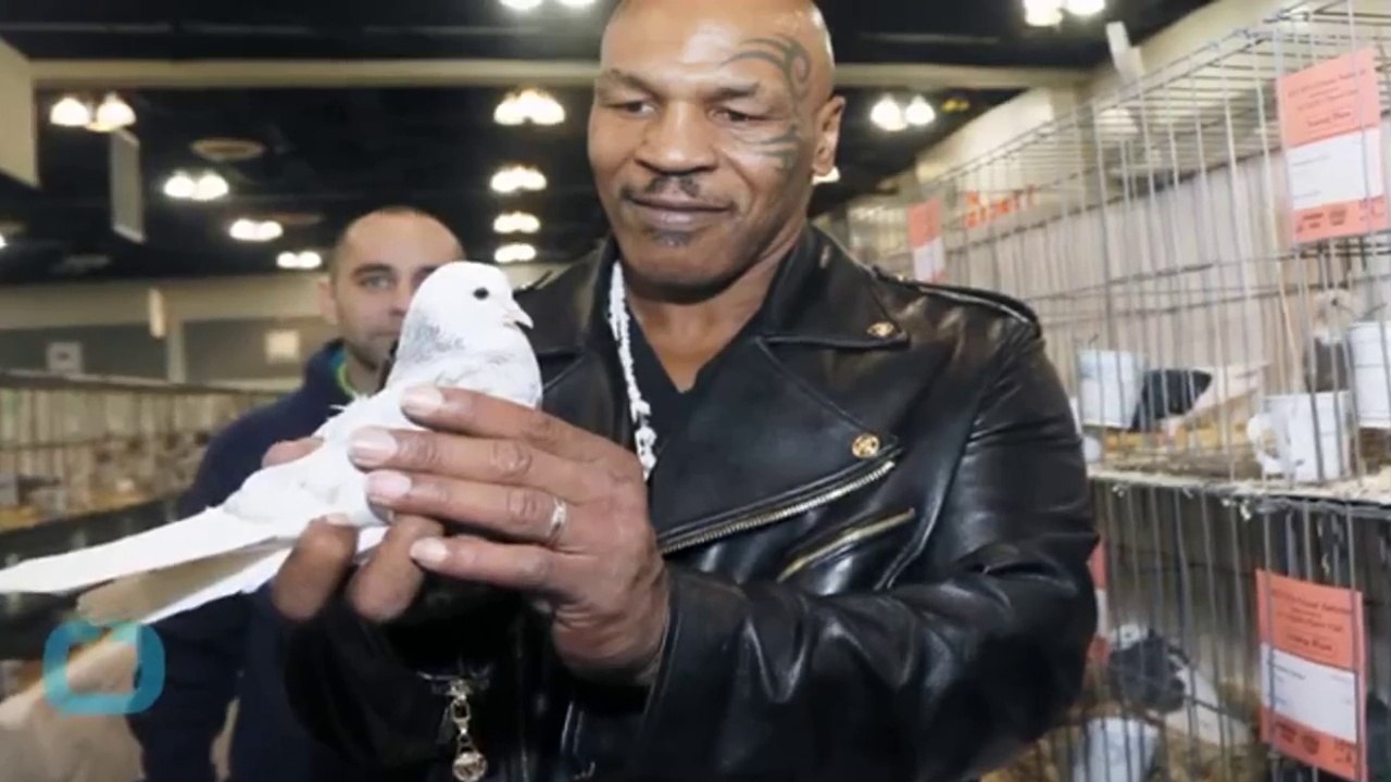 Portugal Pilots Warned of 70,000 Homing Pigeons