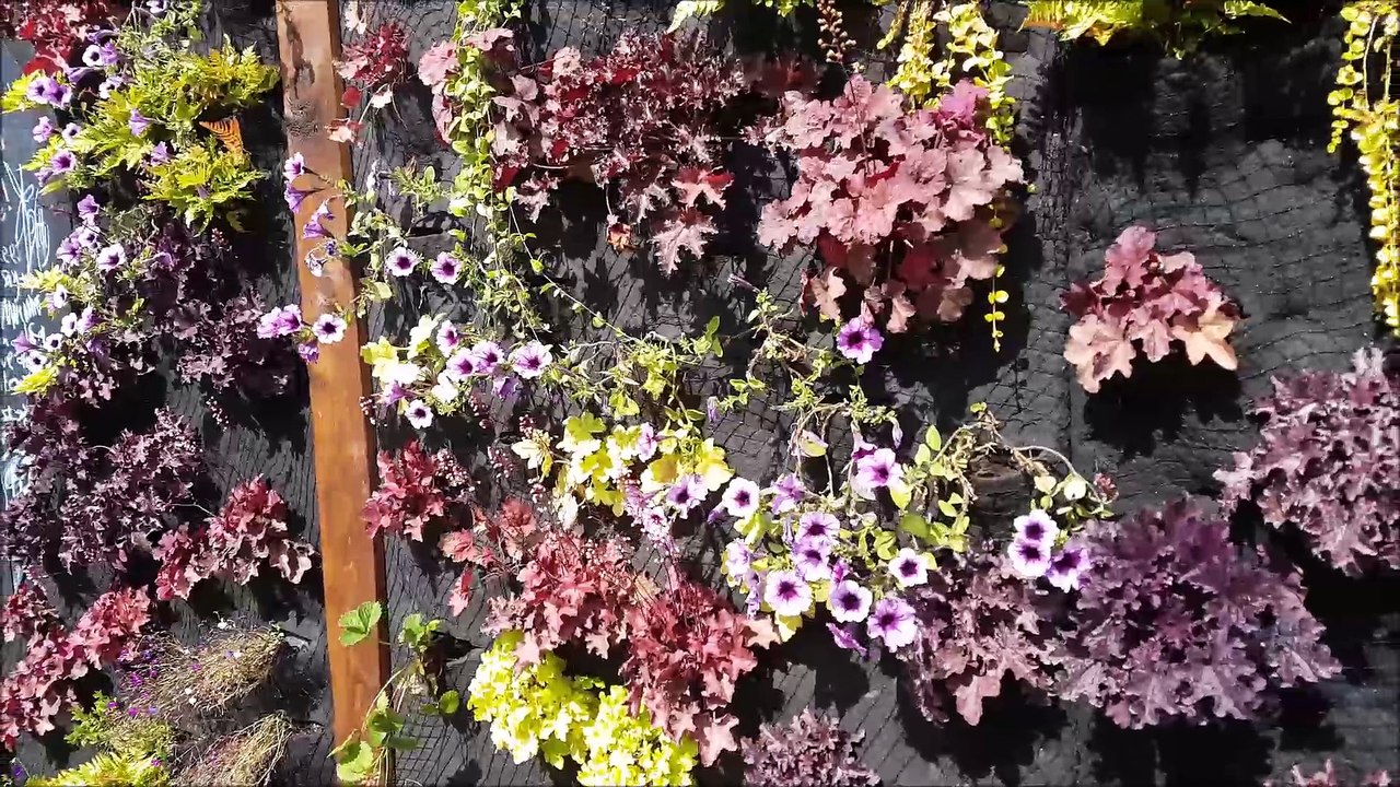 The Listening Wall