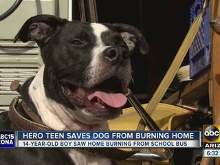 Teen risks it all to save his dog in Phoenix