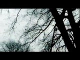 Zeynep Casalini - Duvar (Official Video)