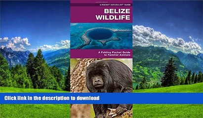 FAVORITE BOOK  Belize Wildlife: An Introduction to Familiar Species (Pocket Naturalist Guide