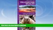 FAVORITE BOOK  Yellowstone Wildlife: A Folding Pocket Guide to Familiar Animals of the