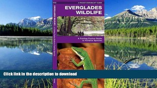 READ  Everglades Wildlife: A Folding Pocket Guide to Familiar Species (Pocket Naturalist Guide