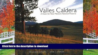 READ  Valles Caldera: A Vision for New Mexico s National Preserve FULL ONLINE