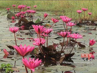 'গত দুই -তিন বছরের তুলনায় এবার শীত বেশি পড়বে'