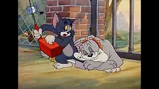 Tom si Jerry pe manele 2016