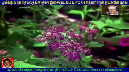Naan Yen Pirandhen   1972   TM Soundararajan Legend    song  4