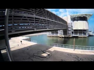 Visita ao Oceanário de Lisboa #0049