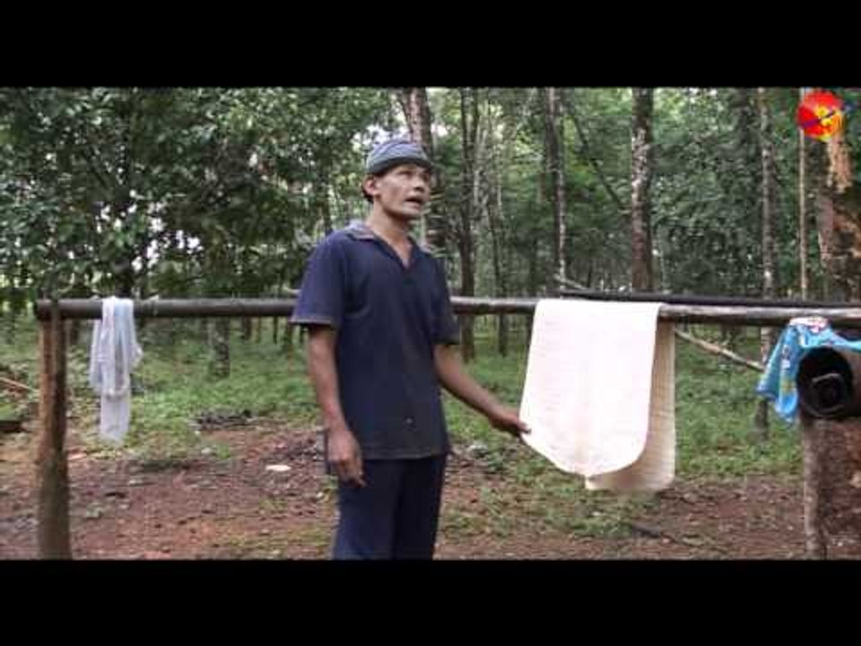 Burmese migrants in rubber plantation of Thailand Burmese Version
