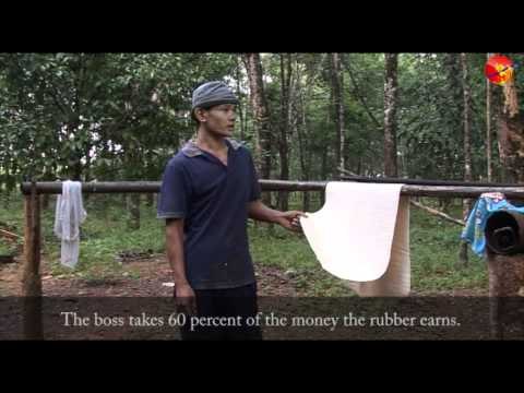 Migrants Rubber Trap in Thailand