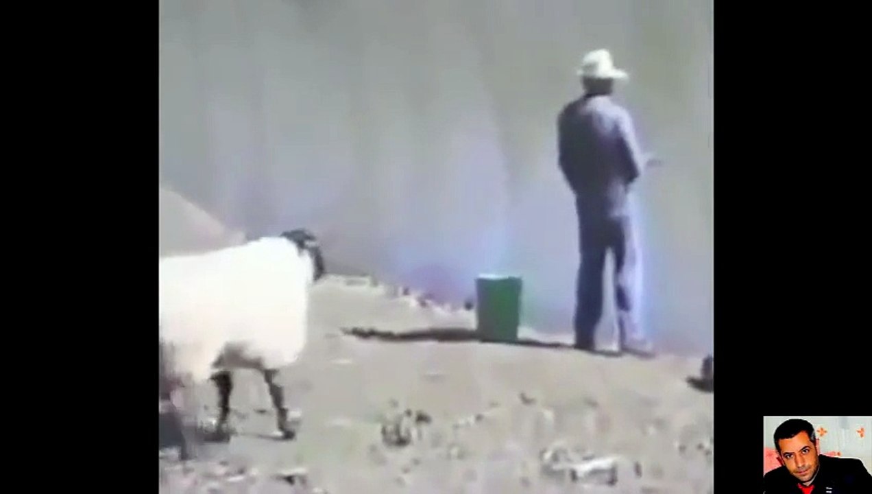 GÖLE YAPARSAN BÖYLE TOSLAR
