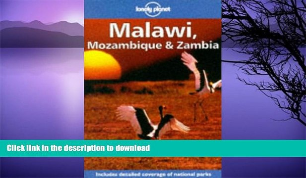 READ Lonely Planet Malawi, Mozambique Zambia (Malawi, Mozambique and Zambia) FULL ONLINE