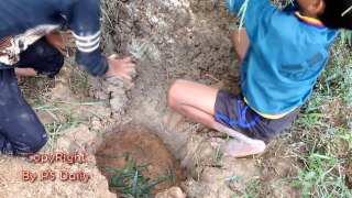 Amazing Children Deep Hole Catch Turtles​ | How To Catch Turtles In Cambodia | PS Daily (Part 13)