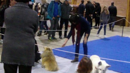 Démo d'obérythmée : I'Jerry et Betty