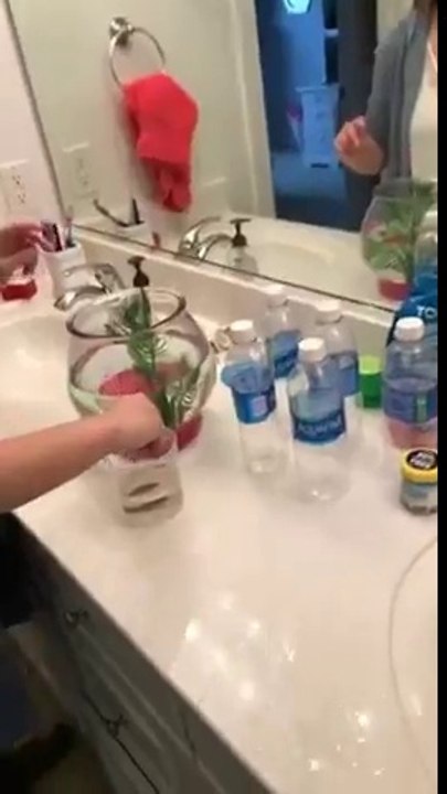 Elle penser que son poisson etait mort mais il va se reveiller au pire moment!