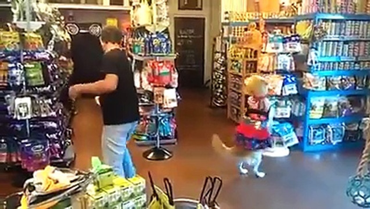 New Funny videos 2016 funny vines try not to laugh challenge