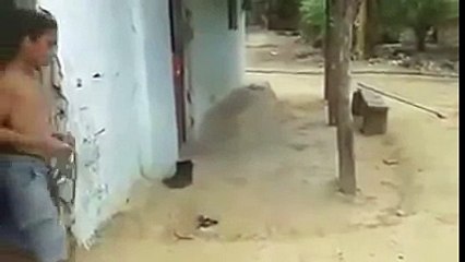 دیکھیں یہ چھوٹا سا لڑکا کمرے میں سے کتنا بڑا جانور