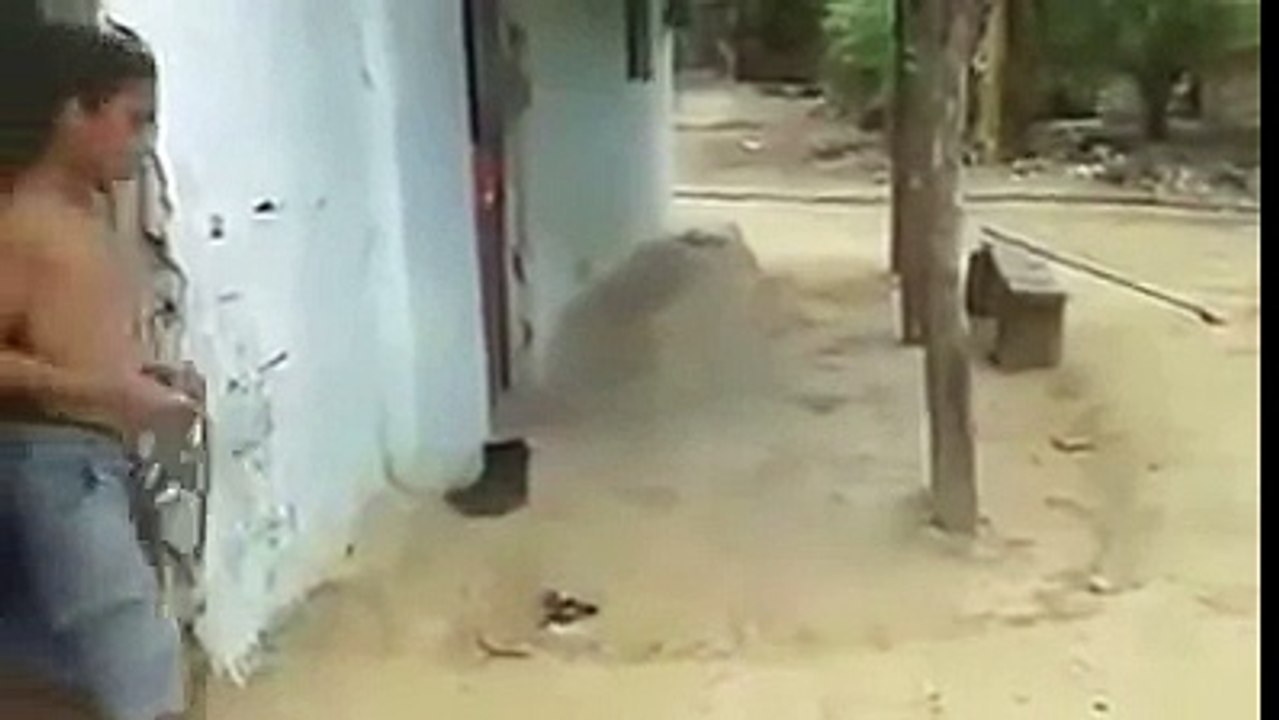 دیکھیں یہ چھوٹا سا لڑکا کمرے میں سے کتنا بڑا جانور