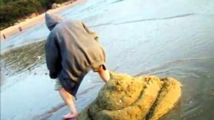 20 most funny pictures try not to laugh (IMPOSSIBLE CHALLENGE)