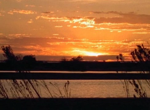 История Земли. Формирование нашего мира 2 серия из 4 - Неугомонная Земля (1998)