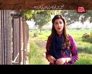 Abb Takk Khufia - Episode 138 (Siberian Birds Hunting)