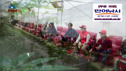 형제꽝조사 안성설동낚시터 하우스관리 어떻게 하나??알아보자