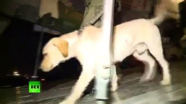 В Сирию прибыл передовой отряд Минобороны для разминирования Алеппо