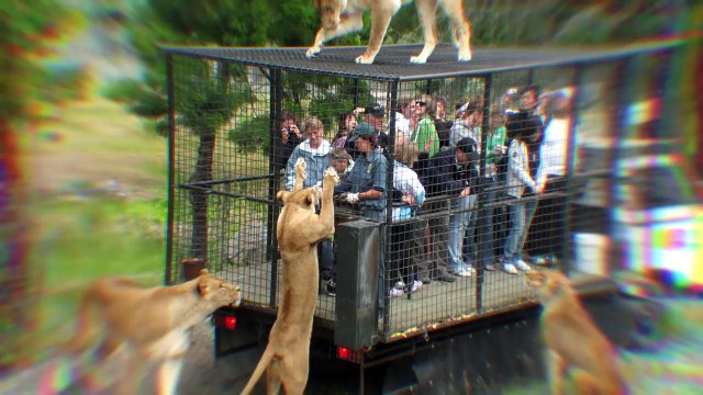 Смотреть видео ШОКИРУЮЩИЕ ВСТРЕЧИ С ЖИВОТНЫМИ, СНЯТЫЕ НА КАМЕРУ