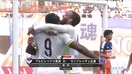 Peter Utaka Goals Highlight