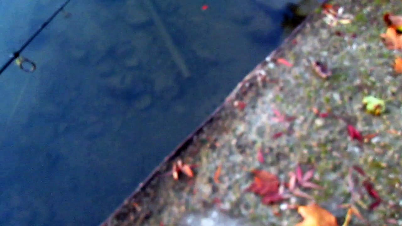 Nage PN 8,5Cm 7,7Gr (AliExpress)