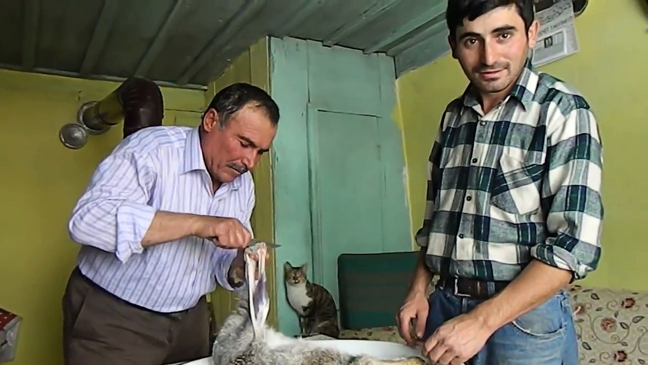 Tavşan nasıl yüzülür Tavşan avı Gamaz Hasan