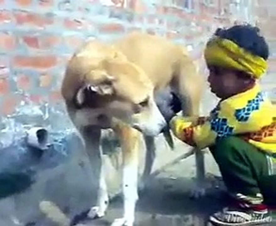 Most Funny Clips.. Ever You Not Seen. Challenge Try Not To Laugh. Best Funny Clips of 2016