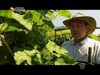 A Kertész Kertje 2012 12 30 E12