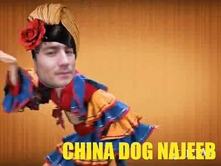 F17 thunder paki china dog