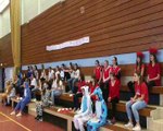 Concours FLASHMOB UNSS Championnat du monde de HANDBALL 2017 - Collège de l'Eichel de Diemeringen