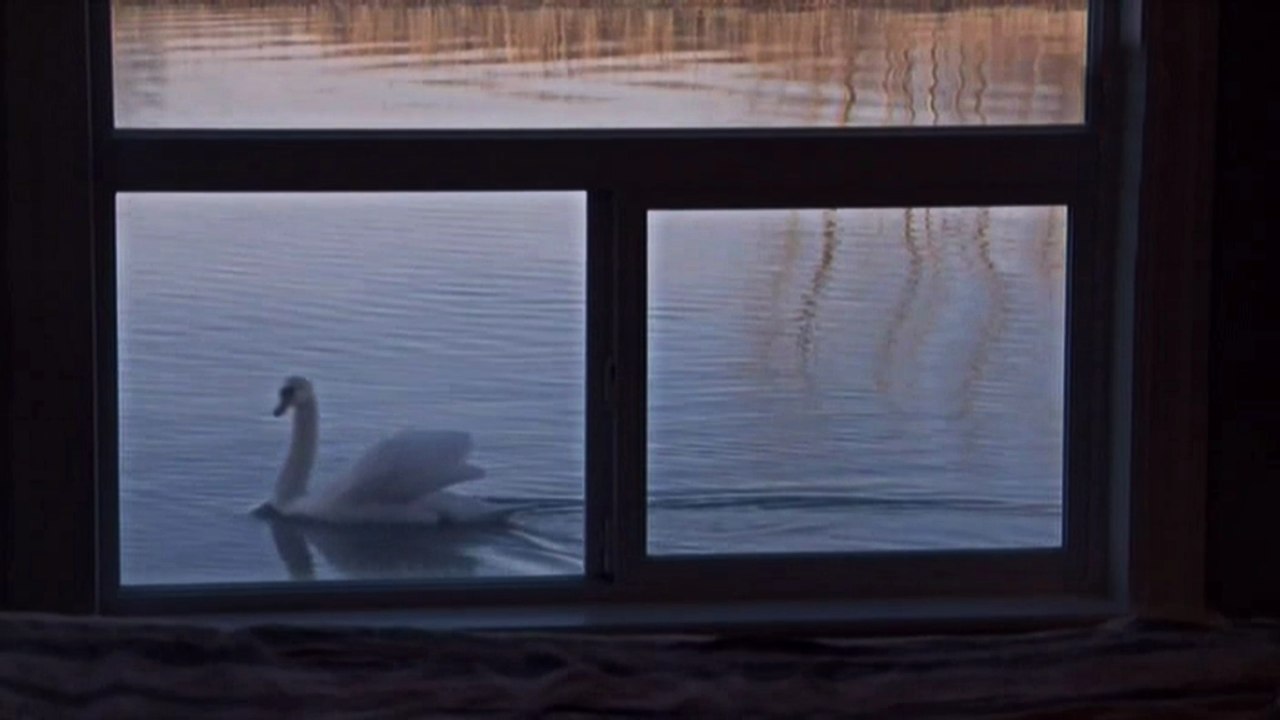 Дома на воде 3 серия (2016)