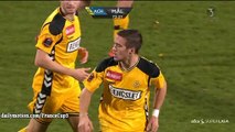 Hallur Hansson Goal HD - Horsens 1-2 Viborg - 03.12.2016