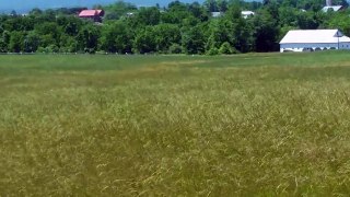 Gettysburg Battlefield - Waving Grain - June 12, 2016 - Travels With Phil