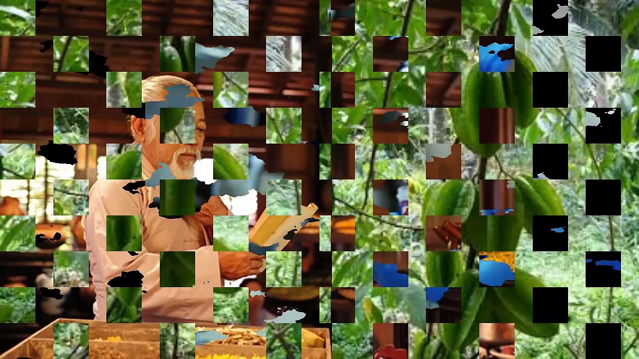 CÂY THUỐC NAM- QUẢ KHẾ, TÁC DỤNG CHỮA BỆNH TUYỆT VỜI TỪ QUẢ KHẾ