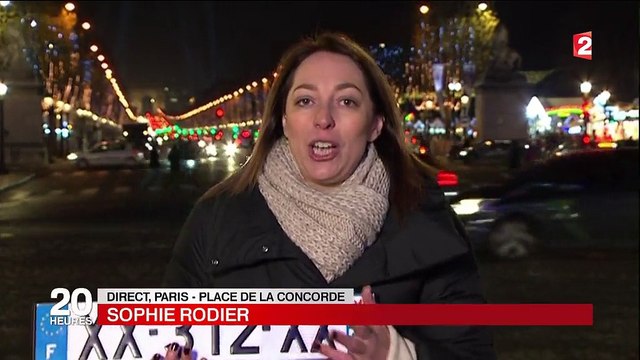 Pollution aux particules fines : circulation alternée en région parisienne