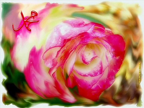 Güller açmış Ravzasında _ İlahi Dinle