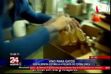 Ponen a la venta curioso vino especial para gatos