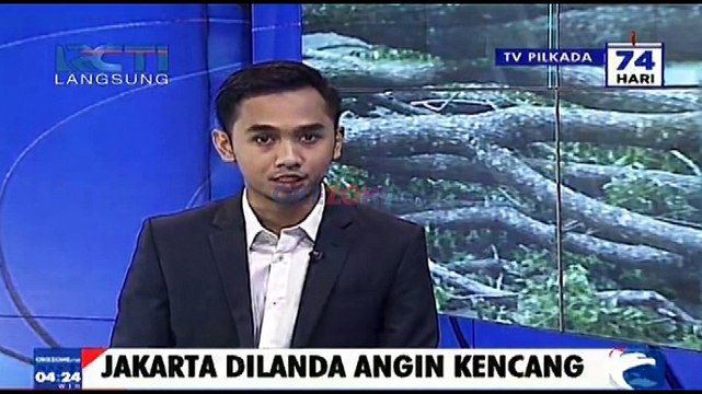Pengendara Motor Terluka Akibat Tertimpa Pohon Besar