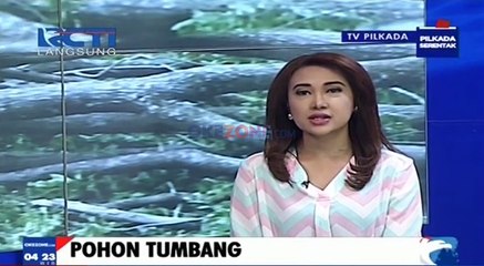 Pohon Tumbang Timpa 2 Kendaraan dan 2 Kios