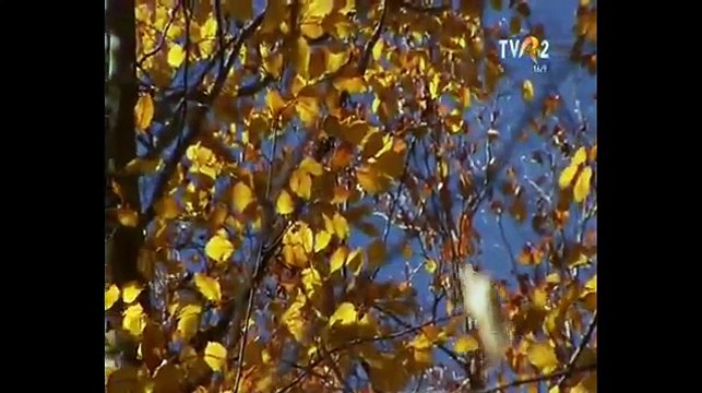 Jenica Bercea Anton - Mi-am facut de-o cararusa (Popasuri folclorice - TVR 2 - 05.12.2015)