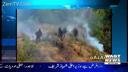 Insight – 3rd December 2016