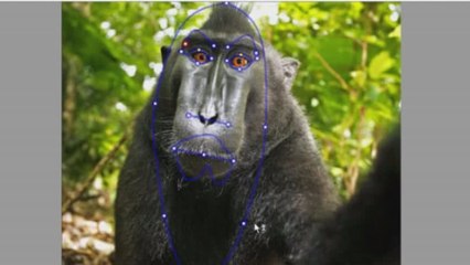 V-Wurld TV / VR360 Multi-Media Studio - Screen-Capture of Character Creation Session 3.